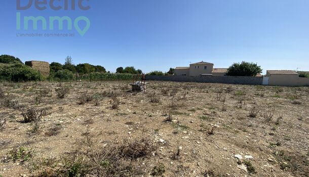 Terrain  à vendre Montroy 17220