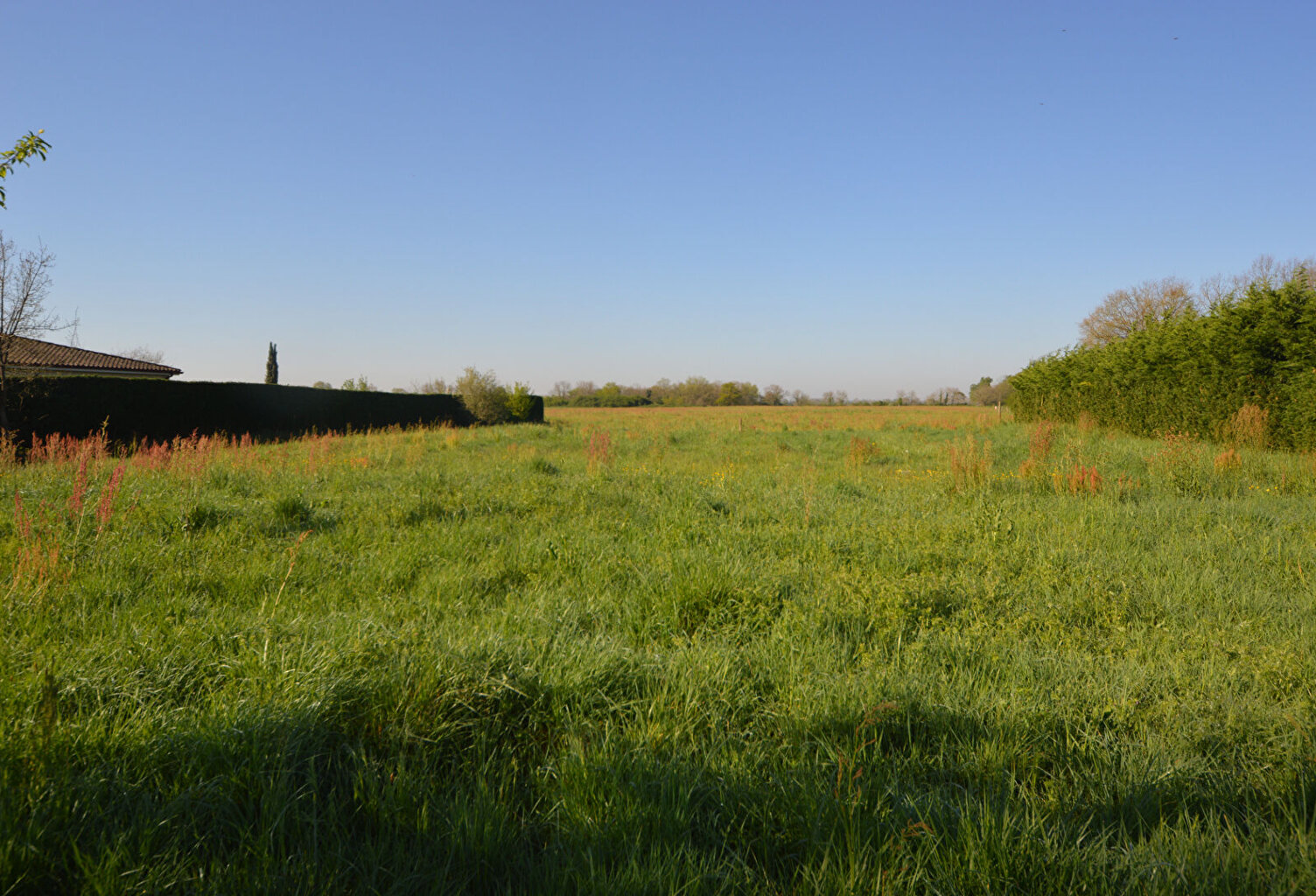LOT de 3 Terrains à Bâtir entre Montauban et Castelsarassin — photo 1