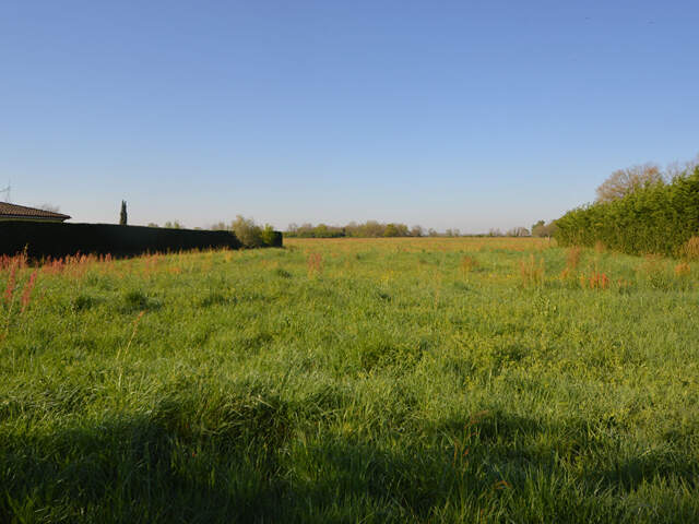 LOT de 3 Terrains à Bâtir entre Montauban et Castelsarassin — photo du bien