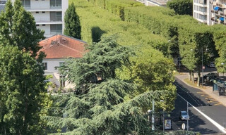 Appartement 1 Pièce 31 m² à louer à Saint-Étienne (42100)