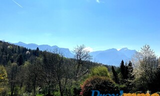 Photo N° 6