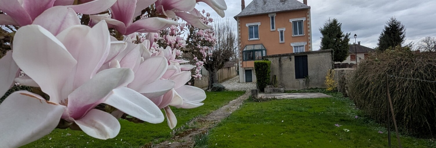 Maison 7 Pièces 190 m² à vendre à Brienon-sur-Armançon (89210)