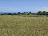 Terrain à construire  622 m²  — photo 2