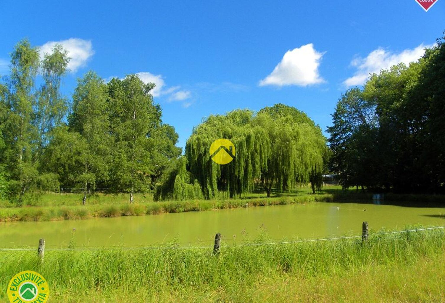 ÉTANG AU CALME  — photo 1