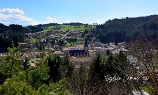 Photo N° 6