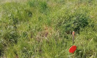Terrain  525 m² à vendre à Andernos-les-Bains (33510)