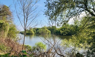 Photo N° 3
