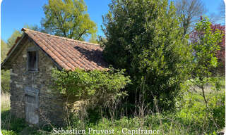 Photo N° 3