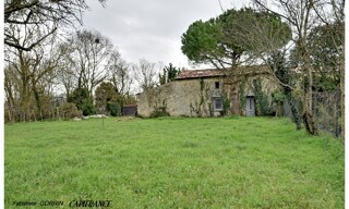 Photo N° 4