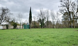 Photo N° 5