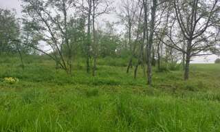 Maison  2400 m² à vendre à Saint-Romain-sur-Cher (41140)