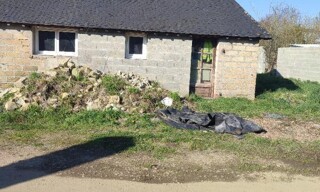 Photo N° 4