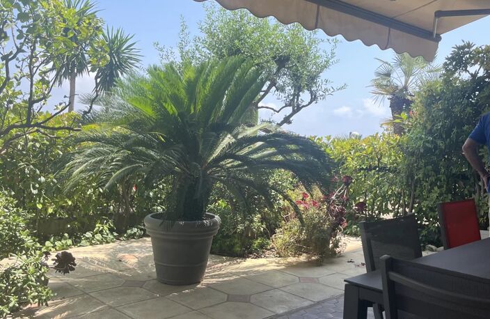 NICE ST PIERRE DE FERIC,  VUE MER ET PISCINE — photo 4