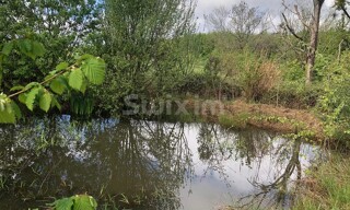 Photo N° 4