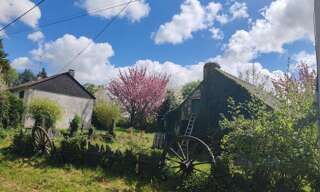 Maison 4 Pièces 90 m² à vendre à Langon (35660)