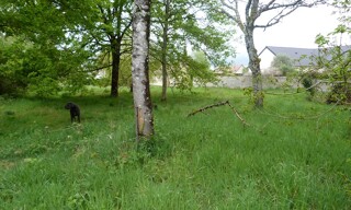 Photo N° 3
