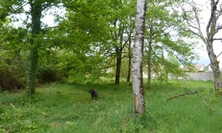 Photo N° 4