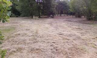 Terrain  4000 m² à vendre à Theillay (41300)