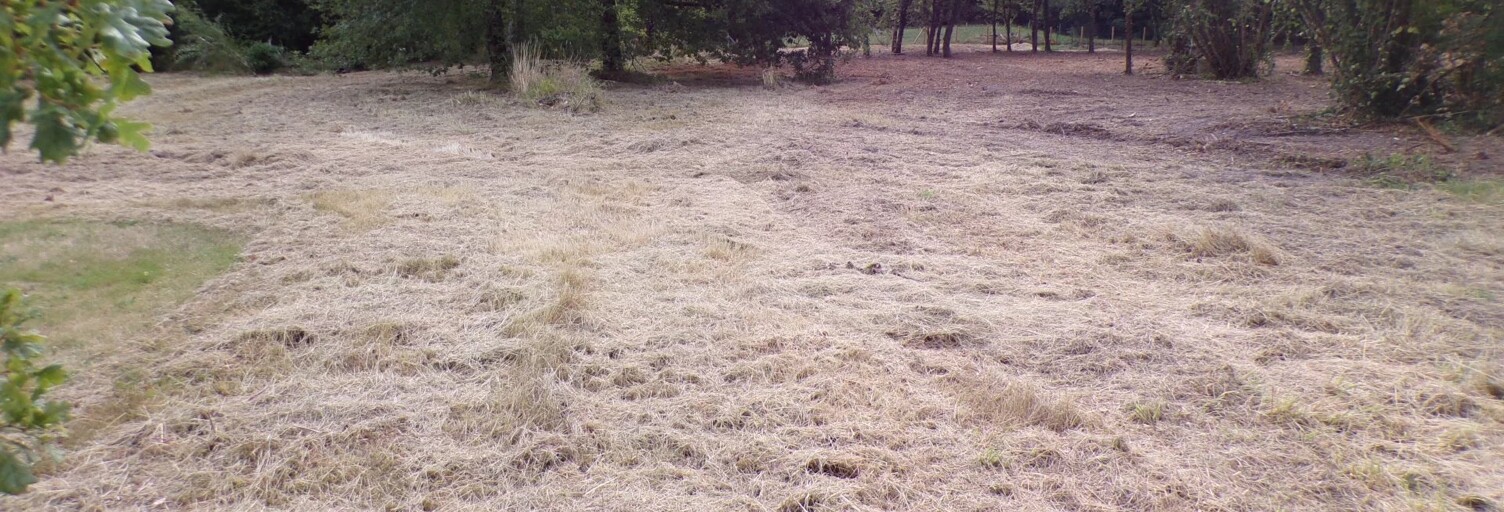 Terrain  4000 m² à vendre à Theillay (41300)