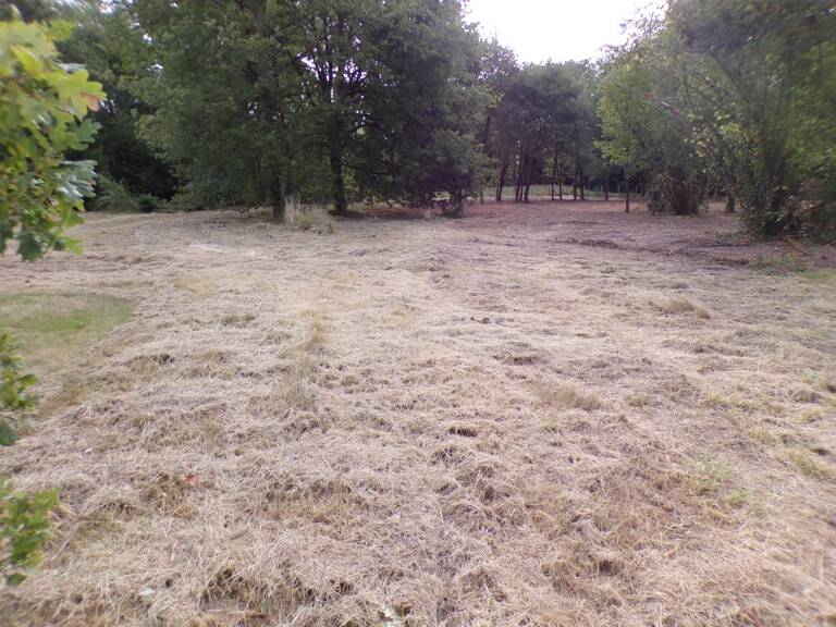 Theillay Bourg 41  - Terrain constructible - 4 000 M² — photo 1