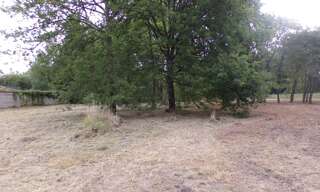 Terrain  4000 m² à vendre à Theillay (41300)