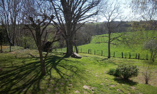 Photo N° 6