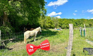 Terrain  10045 m² à vendre à Barinque (64160)