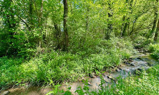 Terrain  10045 m² à vendre à Barinque (64160)