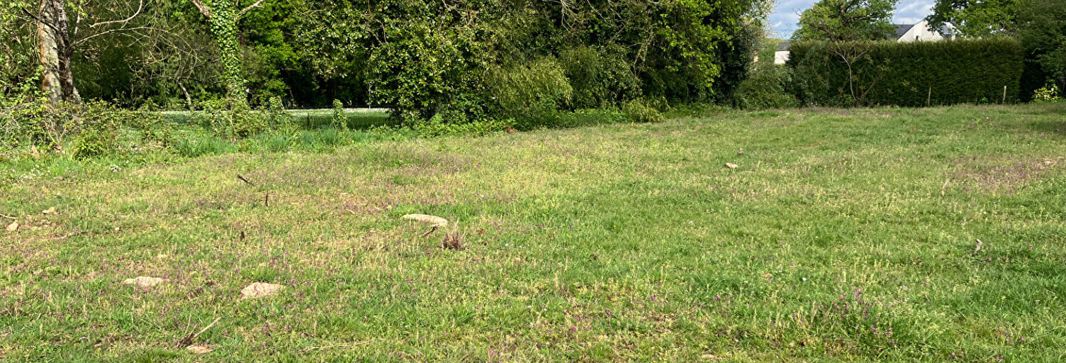 Terrain  1261 m² à vendre à Questembert (56230)