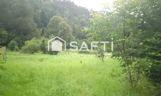 Photo N° 3