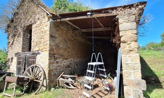 Photo N° 5