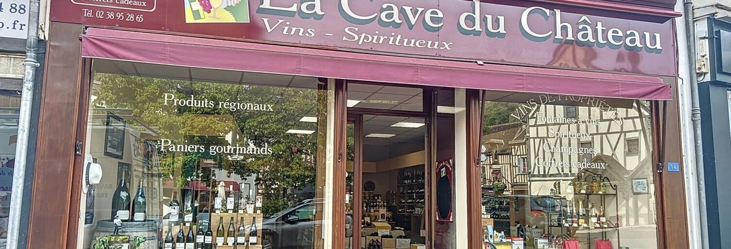 Commerce  205 m² à vendre à Château-Renard (45220)