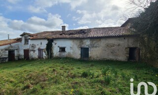 Photo N° 6