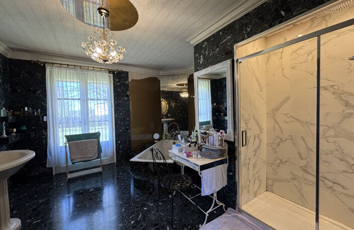 MAISON BOURGEOISE DE 334 M2 AU COEUR DE LA BOURGOGNE — photo 5