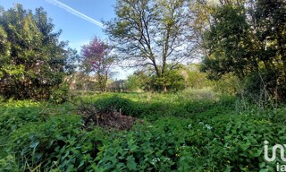 Photo N° 5