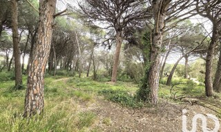 Terrain  20000 m² à vendre à Puget-sur-Argens (83480)