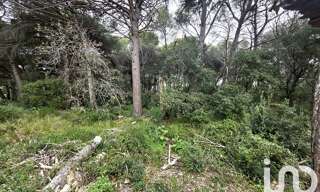 Terrain  20000 m² à vendre à Puget-sur-Argens (83480)