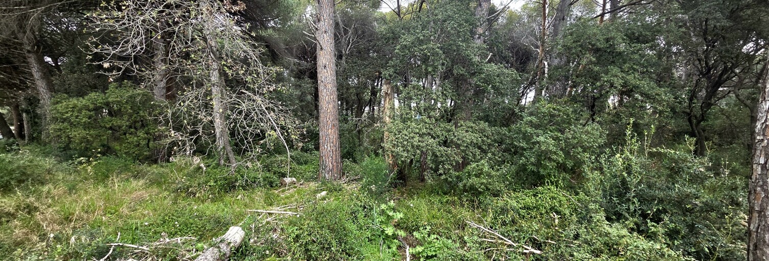 Terrain  20000 m² à vendre à Puget-sur-Argens (83480)