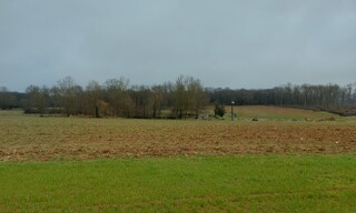 Photo N° 5