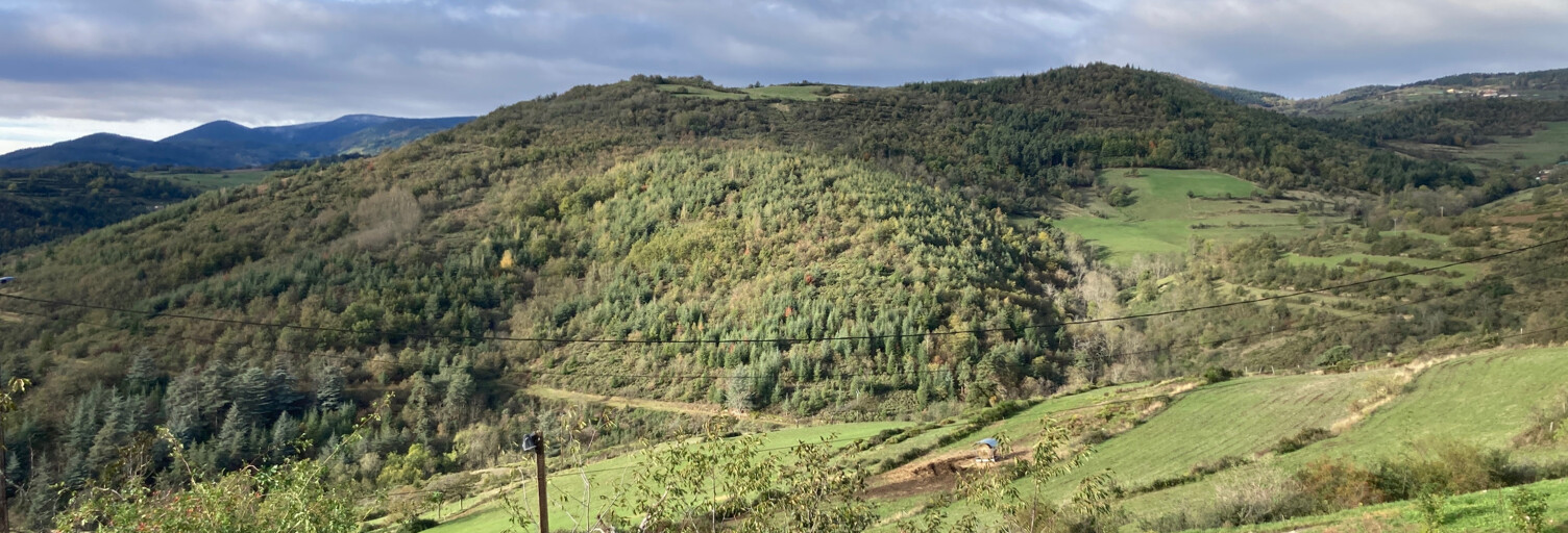 Maison 2 Pièces 32 m² à vendre à Annonay (07100)