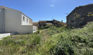 Photo N° 6