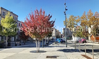 Photo N° 6