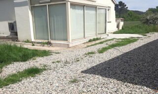 Photo N° 3