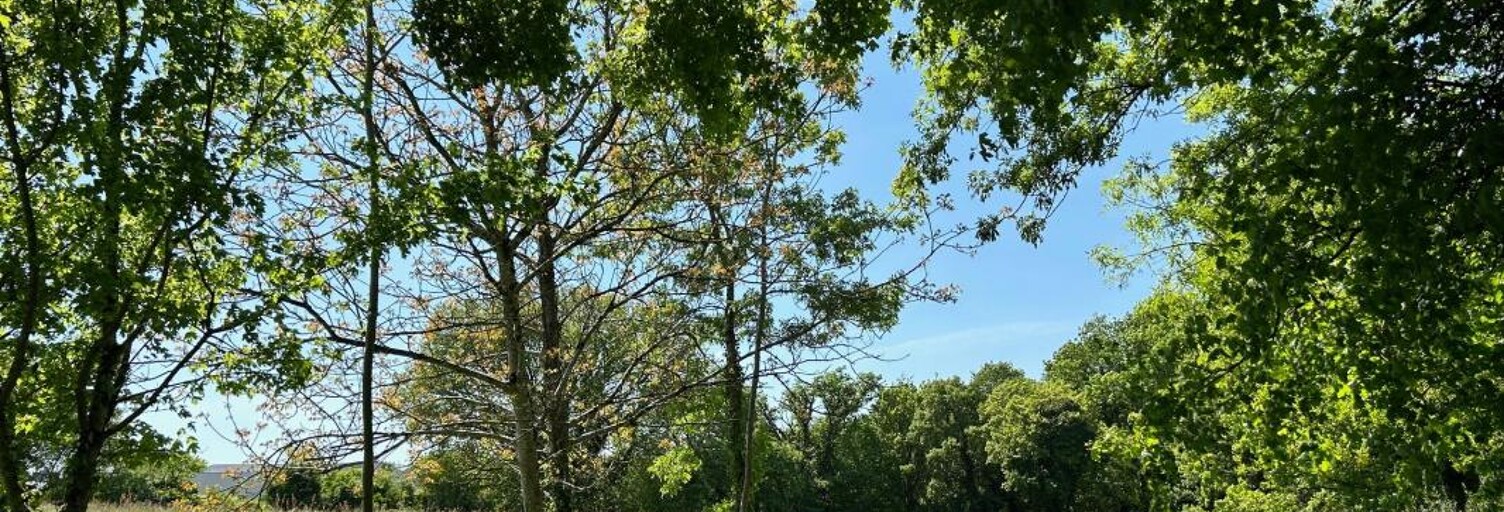 Terrain  2017 m² à vendre à Pont-l'Abbé-d'Arnoult (17250)