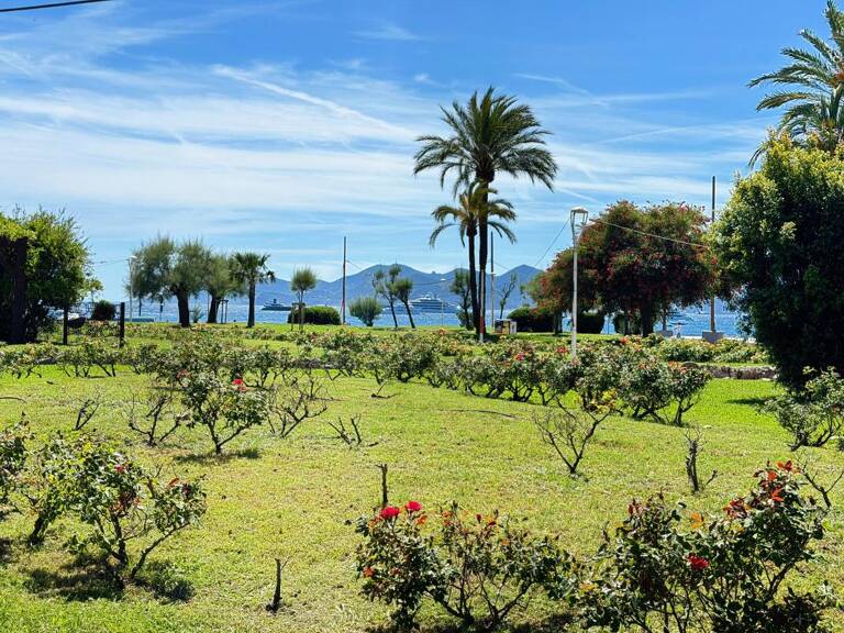 Cannes Basse Californie — 2 pièces 48 m² meublé — photo 1