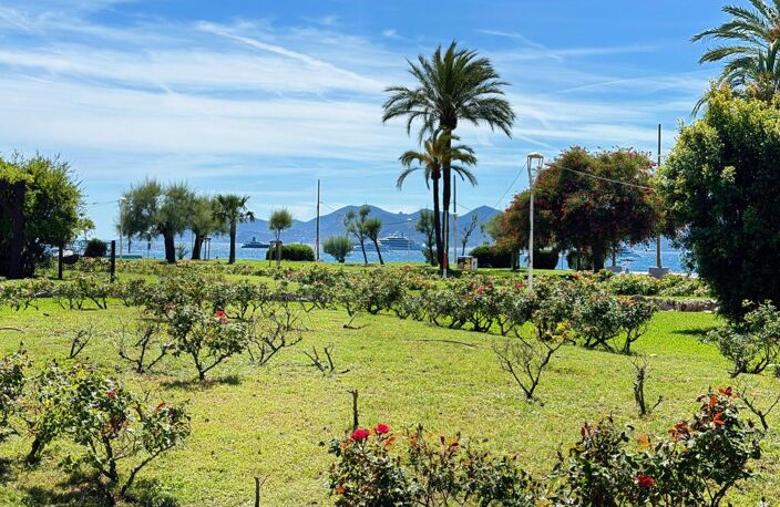 Cannes Basse Californie — 2 pièces 48 m² meublé — photo 3