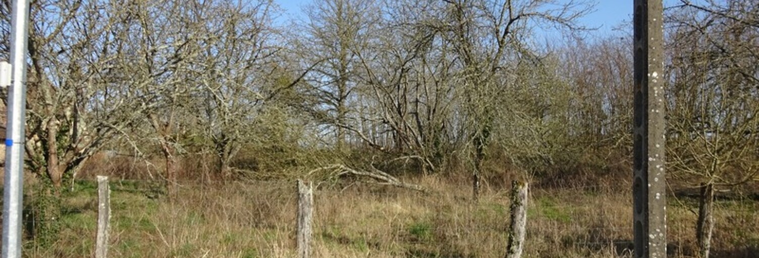 Terrain  1341 m² à vendre à Chuelles (45220)