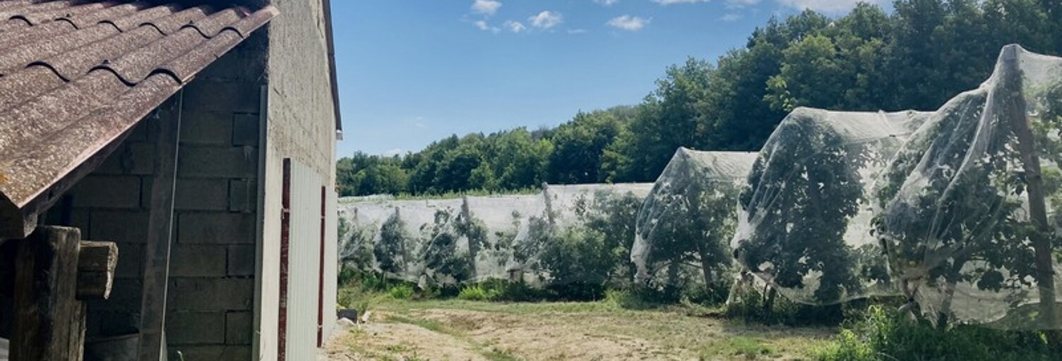 Terrain  40589 m² à vendre à Marquixanes (66320)