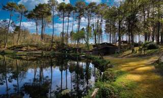 Maison 2 Pièces  m² à vendre à Villandraut (33730)