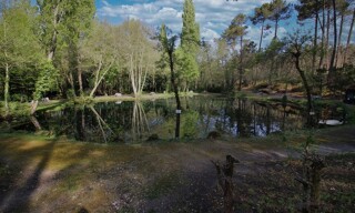 Photo N° 2